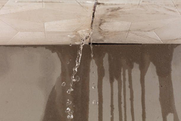Professional Flood Damage Cleanup technician working in Taylor, MI